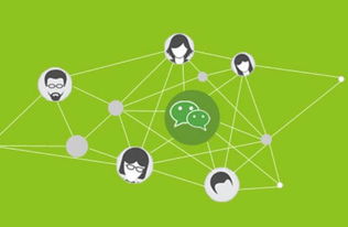 移動(dòng)互聯(lián)網(wǎng)時(shí)代 營(yíng)銷(xiāo)推廣與互聯(lián)網(wǎng)銷(xiāo)售的雙重挑戰(zhàn)與應(yīng)對(duì)策略